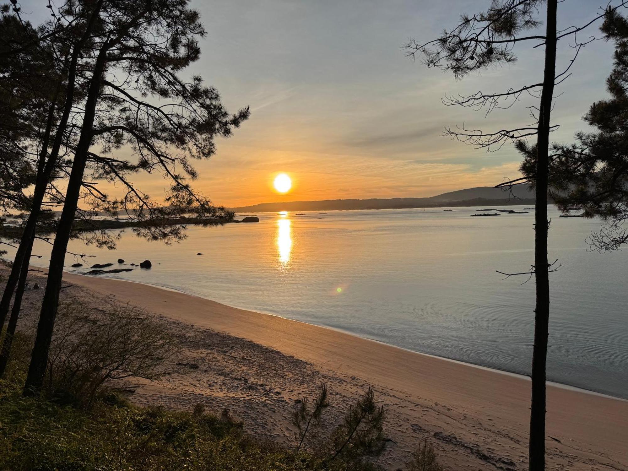 Apartamento Paseo Maritimo-A Illa De Arousa Eksteriør billede